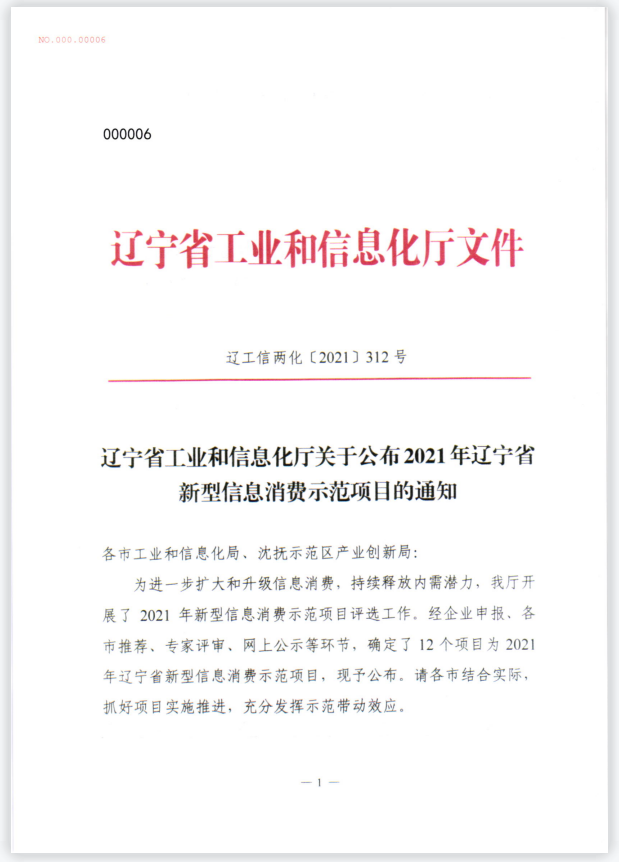 辽宁省新型信息消费示范项目