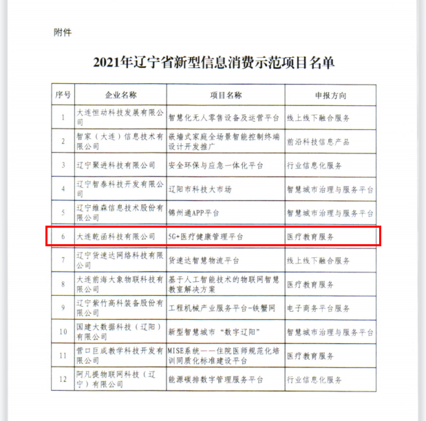 辽宁省新型信息消费示范项目